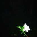 제주힐링가구