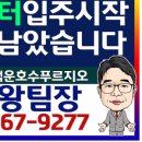 숲속의 아침 이미지