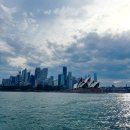 아시아나타운상가번영회 | 호주1일차_시드니 맨리비치 페리 타는법 마막 천문대 옵저버토리힐 달링하버 불꽃놀이