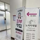 포항피부관리 다나뷰티 베이직수기관리 솔직후기 / 예비신부 관리로도 추천