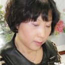 나무더하기 이미지