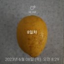 수원시녹색교통회관 수영장 이미지