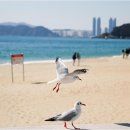 박프로 국제 행정사사무소 이미지