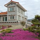 선학농장 이미지