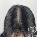 모리점빵 네이버블로그