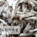 미진고등어조림