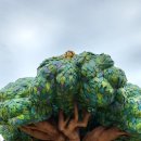 (주)해운대 암소갈비집 이미지