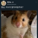 형님저예요 이미지