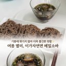 이가소바 | 가정용 메밀소바 추천] 🌿이가자연면 집에서 만드는 시원한 간편식 💛, 이가자연면 메밀소바 후기❗️(여름별미)
