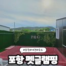 포항 반려견을 위한 펫글램핑 감성숙소 광고성 아닌 백퍼솔직후기