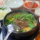 팔영산토종흑염소