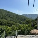 하우스이데아 | [밀양/촌캉스] 초록가득 숲캉스 촌캉스 밀양감성숙소 하우스이데아 C 추천