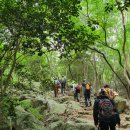 달마고도 이미지