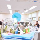 무봉초등학교 이미지