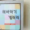 해바라기겔러리
