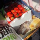 팔공포레스트 이미지