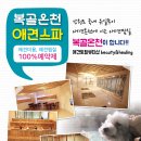 복골온천 애견스파 네이버블로그