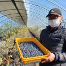 김동규농장 이미지