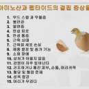 팜 라이프 이미지