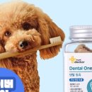 마이펫동물약국 이미지