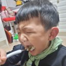 단양새싹어린이집