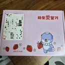 진주농장 | 전국1등 진주금실딸기 안씨베리🍓 농장직영 산지직송 구매후기