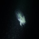 남해-284 이미지