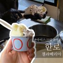 대흥인쇄 - 용산구 | 내돈내산 마포 공덕 대흥 경의선숲길 데이트 디저트 수제 아이스크림 젤라또 젤라떼리아 한로
