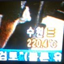 사천분식