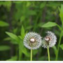 진관사입구 공중화장실 이미지