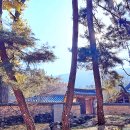 누정 | 조선후기 지역 누정의 건축과 경향을 보여주는 멋스런 제실 가옥 ~ 경남 문화유산 밀양 칠산정