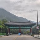 무릉계곡 힐링캠프장 | 동해 캠핑 맛집은 바로 여기다 재방문 의사 낭낭한 명당 내돈내산 솔직후기 무릉계곡힐링캠프장