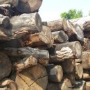 상리길(풍산읍) 이미지