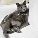 자동차세차마을 이미지