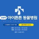 동물병원 닥터K 이미지