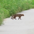 하천(갑천5) 이미지