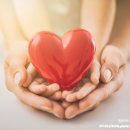 느린학습자의 이해 이미지