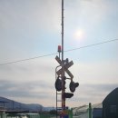 황계순만두 | 겨울 양주장흥 여행: 스타벅스와 예술, 그리고 맛집까지