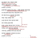 파꽃길 - 문정희, 해석 / 해설 / 분석 / 정리 이미지