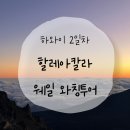 코스트코 홀세일 세종점 | 하와이 신혼여행 2일차 ㅣ 🌄할레아칼라 일출, 로꼬모꼬, 🐳웨일 와칭 투어, 하와이안피자, 마우이 코스트코