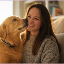 강아지를 부탁해(돌봄) 이미지