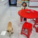 민둥산 850 전망대 이미지