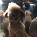 마로동물병원 이미지