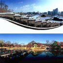 (주)동아항공여행사 이미지