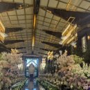 청주아트홀 | 청주 웨딩홀 아모르아트컨벤션 아트홀 후기