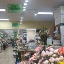 순천향화원