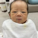 한나아가방 이미지