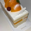 그레이동물병원 강남점 이미지