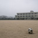 금지초등학교 네이버블로그