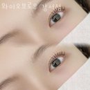 KT 플라자 횡단보도 이미지